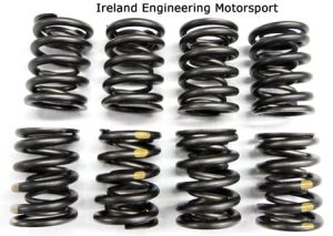 Dual Valve Springs - Race - M10