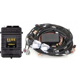 Elite 2500 GM GEN III LS1 (DBW Ready) Term Harn Kit - EV1