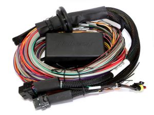 Plastic AMP Connector Waterproofing/Blanking Pins Only